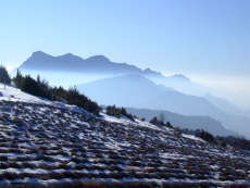 à Rimon en hiver = lavandes d'altitude à 1.200m devant les Trois Becs 1.589m