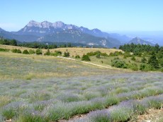 les Trois Becs 1.589m