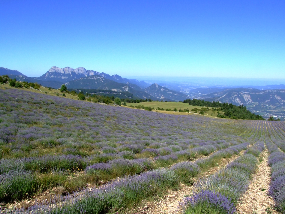 Couspeau, le col de La Chaudiere, 
  les Trois Becs du synclinal perche de la Foret de Saou, Saillans et Vercheny au fond de la vallee