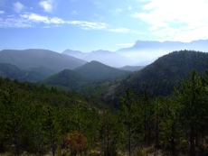 le massif de la foret de saou