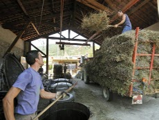 la distillerie de lavande embaume les quais de l'Eygues à Nyons