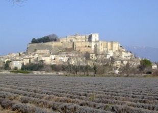 le château de Grignan vu de l'Ouest avec lavandes