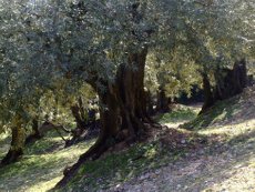 excursions autour de la vallée de la Drôme